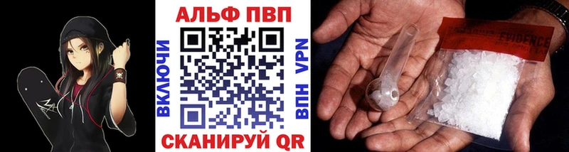 blacksprut как зайти  Сурск  Alfa_PVP крисы CK 
