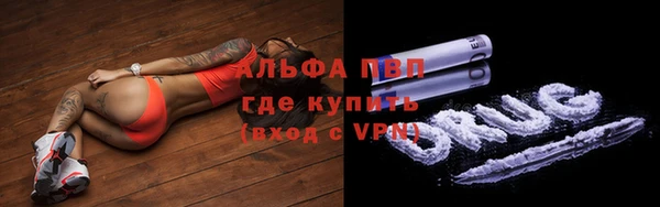 2c-b Пересвет